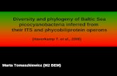 Marta Tomaszkiewicz (M2 BEM) Diversity and phylogeny of Baltic Sea picocyanobacteria inferred from their ITS and phycobiliprotein operons (Haverkamp T.