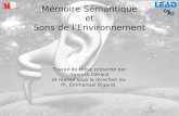 Mémoire Sémantique et Sons de lEnvironnement Travail de thèse présenté par Yannick Gérard et réalisé sous la direction du Pr. Emmanuel Bigand.