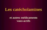 Les catécholamines et autres médicaments vaso-actifs.