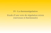 IV- La thermorégulation Etude dune voie de régulation mixte (nerveuse et hormonale)