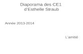 Diaporama des CE1 dEsthelle Straub Année 2013-2014 Lamitié