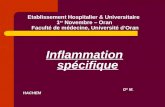 Etablissement Hospitalier & Universitaire 1 er Novembre – Oran Faculté de médecine, Université dOran Inflammation spécifique D R M. HACHEM.