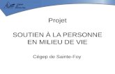 Projet S OUTIEN À LA PERSONNE EN MILIEU DE VIE Cégep de Sainte-Foy.