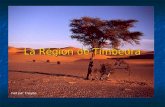 La Région de Timbedra Fait par Tneybe. Donnés Une zone agropastorale Une zone agropastorale La principale Moughataa du Hodh Echargui La principale Moughataa.