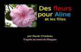 Des fleurs pour Aline et les filles par Paule Chadeau Daprès un envoi de Platypus.