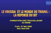 FORMATION DES TRAVAILLEURS A1-00388 Turin, 27 Mai 2005 Ben Said DIA.