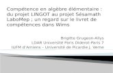 Brigitte Grugeon-Allys LDAR Université Paris Diderot-Paris 7 IUFM dAmiens – Université de Picardie J. Verne Compétence en algèbre élémentaire : du projet.