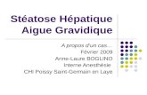 Stéatose Hépatique Aigue Gravidique A propos dun cas… Février 2009 Anne-Laure BOGLINO Interne Anesthésie CHI Poissy Saint-Germain en Laye.