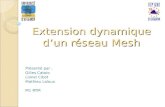 Extension dynamique dun réseau Mesh Présenté par : Gilles Catoio Lionel Cibot Mathieu Laloux M1 RTM.