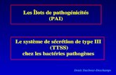 Le système de sécrétion de type III (TTSS) chez les bactéries pathogènes Les Îlots de pathogénicités (PAI) Denis Dacheux-Deschamps.