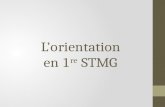 Lorientation en 1 re STMG. 1.Réalisation dun CV, dune lettre de motivation et dun tableau de suivi des entreprises contactées (octobre) .