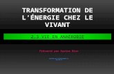 TRANSFORMATION DE LÉNERGIE CHEZ LE VIVANT Systèmes de lenvironnement II 101-2A3-FX Présenté par Karine Dion 2.3 VIE EN ANAÉROBIE.