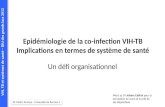 VIH, TB et systèmes de santé – DIU des grands lacs 2013 Epidémiologie de la co-infection VIH-TB Implications en termes de système de santé Un défi organisationnel.