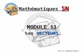 Mathématiques SN MODULE 11 Les VECTEURS Réalisé par : Sébastien Lachance.