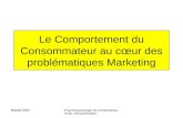 BSMR-2007Psychosociologie du comportement du consommateur - Le Comportement du Consommateur au cœur des problématiques Marketing.