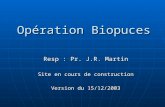Opération Biopuces Resp : Pr. J.R. Martin Site en cours de construction Version du 15/12/2003.