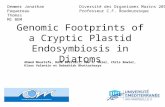 1 Genomic Footprints of a Cryptic Plastid Endosymbiosis in Diatoms Diversité des Organismes Marins 2010 Professeur C.F. Boudouresque Demmer Jonathan Paquereau.