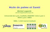 Huile de palme et Santé Michel Lagarde (michel.lagarde@insa-lyon.fr) Université de Lyon, CarMeN, INSERM / Univ-Lyon 1 INSA-Lyon / INRA IMBL / LISA Carnot.