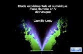 Etude expérimentale et numérique d'une flamme en V diphasique Camille Letty.