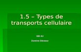 1.5 – Types de transports cellulaire SBI 4U Dominic Décoeur.