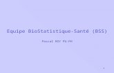 1 Equipe BioStatistique-Santé (BSS) Pascal ROY PU-PH.