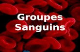 Groupes Sanguins. Définitions Système ABO Agglutinogènes et Agglutinines Rhésus Complexe Antigène-Anticorps Quel est ton groupe ? Don de sang.