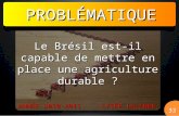 PROBLÉMATIQUE 33 LYCÉE LALANDE ANNÉE 2010-2011 Le Brésil est-il capable de mettre en place une agriculture durable ?