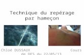 Technique du repérage par hameçon Chloé DUSSAUX Cours de DES du 22/05/13.
