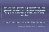 Estimated genetic parameters for growth traits of German Shepherd dog and Labrador retriever dog guides Travail de génétique de 2ème doctorat Bouvy Cyril.