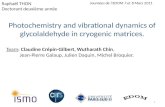Photochemistry and vibrational dynamics of glycolaldehyde in cryogenic matrices. Team: Claudine Crépin-Gilbert, Wutharath Chin, Jean-Pierre Galaup, Julien.