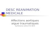 DESC REANIMATION MEDICALE Affections aortiques aigue traumatiques Sanfiorenzo céline CHU NICE.