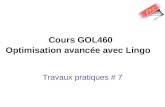 Cours GOL460 Optimisation avancée avec Lingo Travaux pratiques # 7.