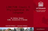 LIN1720 Cours 9 Phylogénèse du langage Dr Hélène Knoerr ILOB, Université dOttawa.