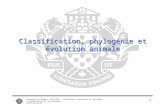 Université dOttawa - Bio 2525 - Les animaux: Structures et fonctions © Antoine Morin et Jon Houseman 2014-06-05 08:37 1 Classification, phylogénie et évolution.