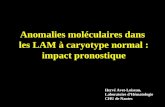Anomalies moléculaires dans les LAM à caryotype normal : impact pronostique Hervé Avet-Loiseau, Laboratoire dHématologie CHU de Nantes.