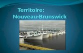 Partie A: Situation géographique Nouveau-Brunswick.