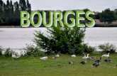 Bourges dans le Cher (18) Je vous ai entraînés sur la route Jacques Cœur, je vous ai montré quelques magnifiques photos du Palais Jacques Cœur à Bourges,