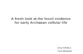 A fresh look at the fossil evidence for early Archaean cellular life Amar KEMILA Tarik MESBAH.