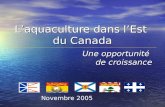 Laquaculture dans lEst du Canada Une opportunité de croissance Novembre 2005.