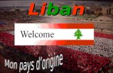 Le Liban Le Liban. Description Du LIBAN Le Liban est un pays du Proche-Orient, autrefois l'antique Phénicie. Il partage ses frontières avec deux pays,