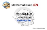 Mathématiques SN MODULE 9 La fonction TANGENTE Réalisé par : Sébastien Lachance.