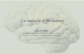 La maladie dAlzheimer Céline Borg Neuropsychologue et chercheur au CHU de Saint-Etienne Maître de conférences à luniversité catholique de Lyon.