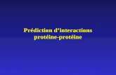 Prédiction dinteractions protéine-protéine. Plan Introduction Prédiction dinteractions protéine-protéine par détection de mutations corrélées et comparaison.