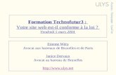 Formation Technofutur3 : Votre site web est-il conforme à la loi ? Vendredi 5 mars 2004 Etienne Wéry Avocat aux barreaux de Bruxelles et de Paris Janice.