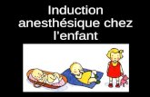 Induction anesthésique chez lenfant. Induction par inhalation choix de l'enfant +++ maintien d'une ventilation spontanée (intubation difficile) réversibilité.