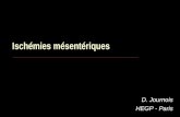 Ischémies mésentériques D. Journois HEGP - Paris.