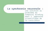 La synchronie neuronale : une solution au problème du temporal binding dans l approche scientifique de la conscience.