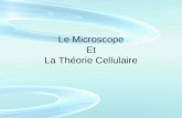 Le Microscope Et La Théorie Cellulaire. Le développement du microscope. Les lentilles.