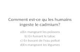 Comment est-ce qu les humains ingeste le cadmium? a)En mangeant les poissons b) En fumant le tabac c) En buvant de leau pollué d)En mangeant les légumes.