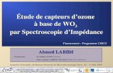 Laboratoire Matériaux et Microélectronique de Provence UMR CNRS 6137 - Marseille/Toulon (France) -  Ahmed LABIDI Journées Nationales du Réseau.